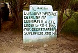louis06.jpg