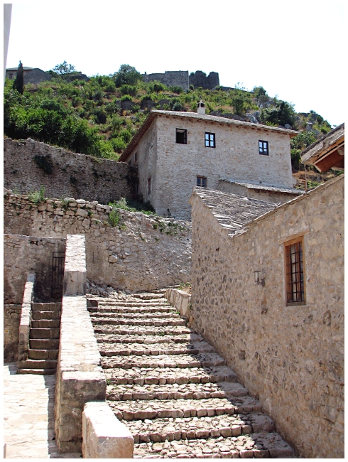 IMG_7018 Pocitelj