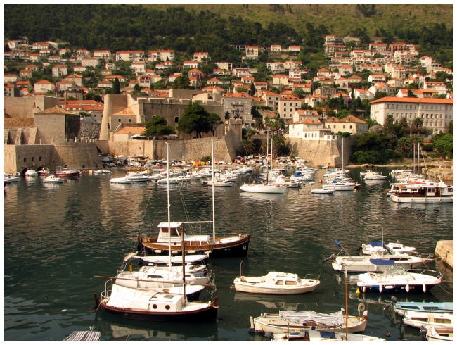IMG_7261 Port