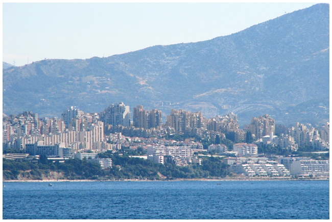 IMG_7843 Split