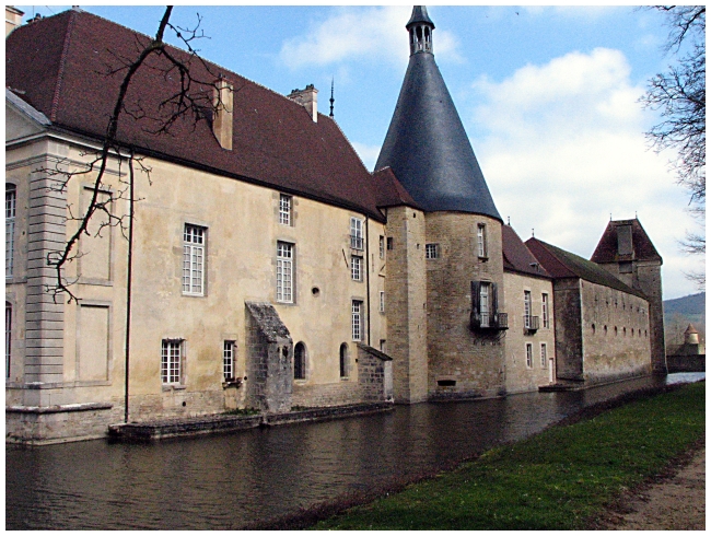 IMG_8997 Chateaux de Commarin