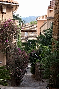 IMG_4020