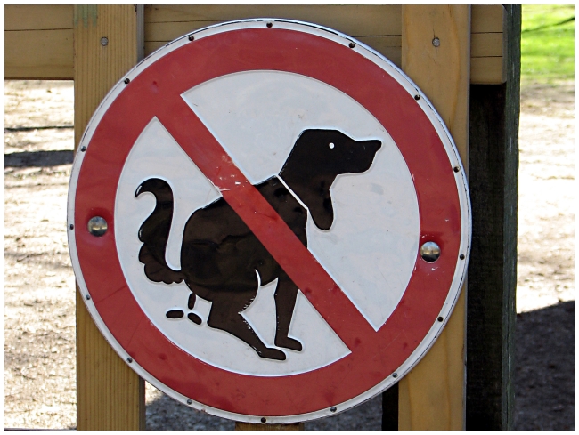 IMG_8834 I like funny signs, this one was a little graphic !
